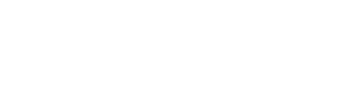 Drivestonia